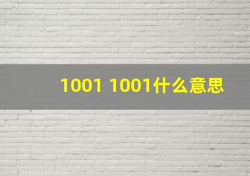 1001 1001什么意思